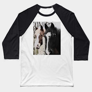 Pair of Friendly Horses Baseball T-Shirt